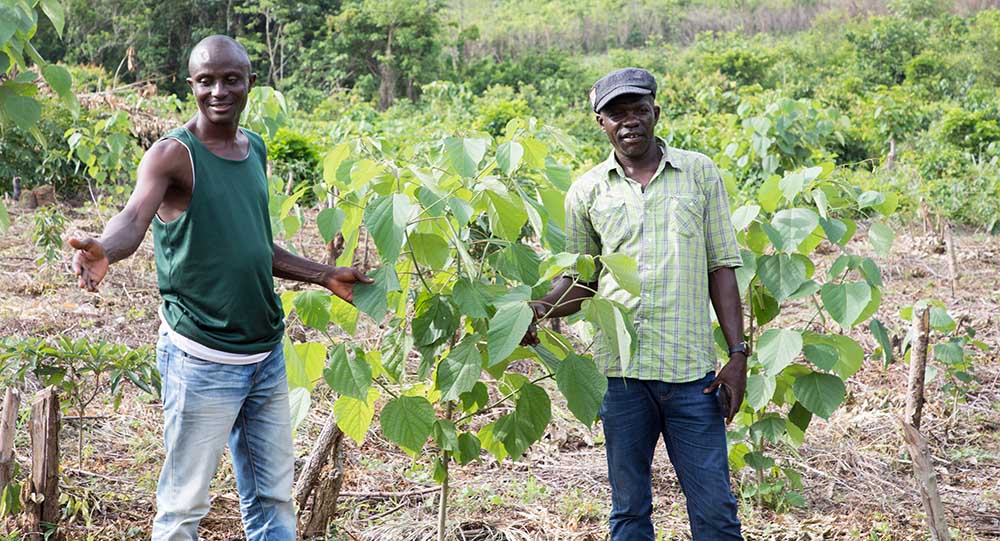 Supporting land users/owners